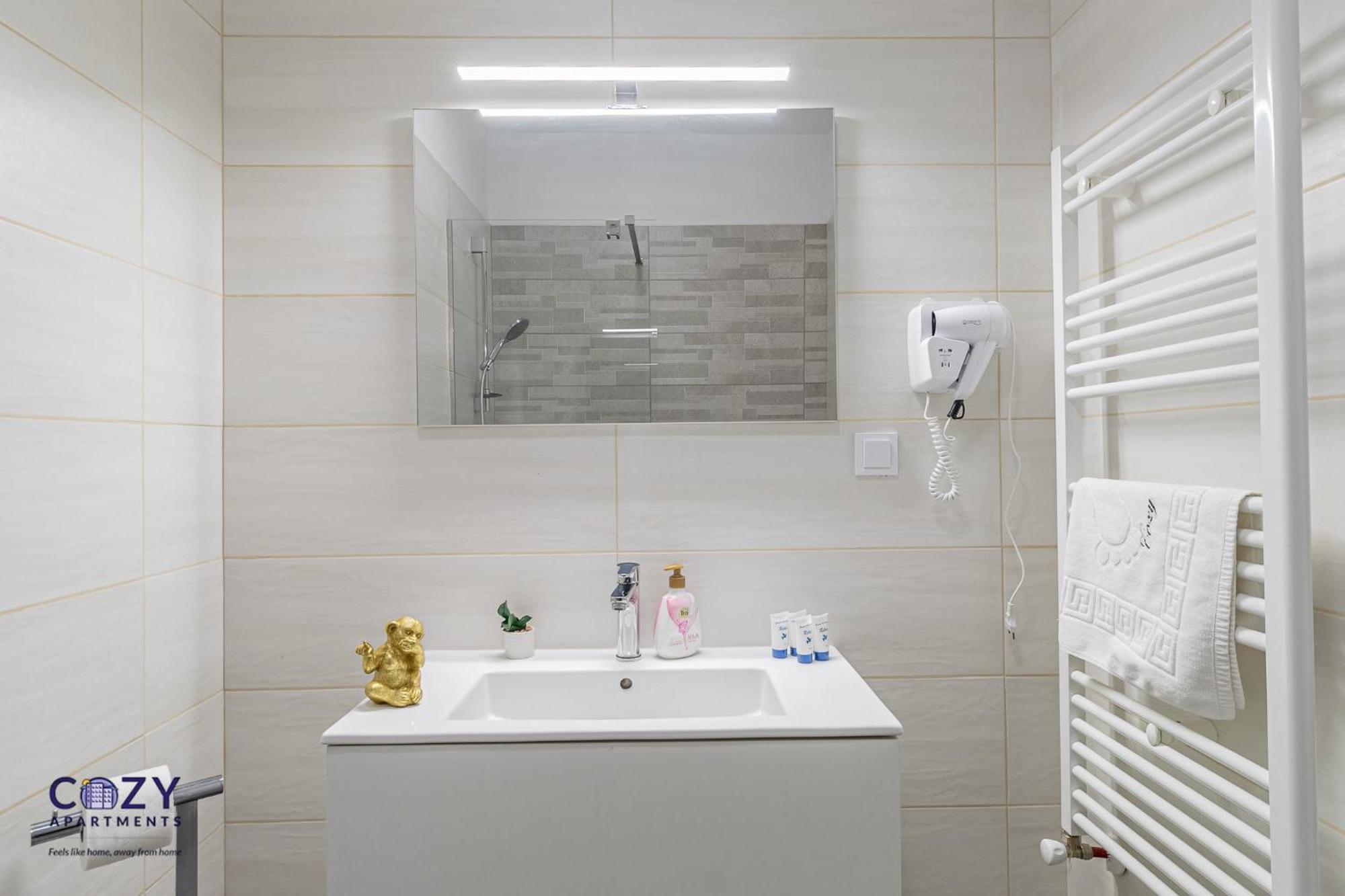 Cozy Collection Studios And Flats - Coresi Mall Braşov Buitenkant foto