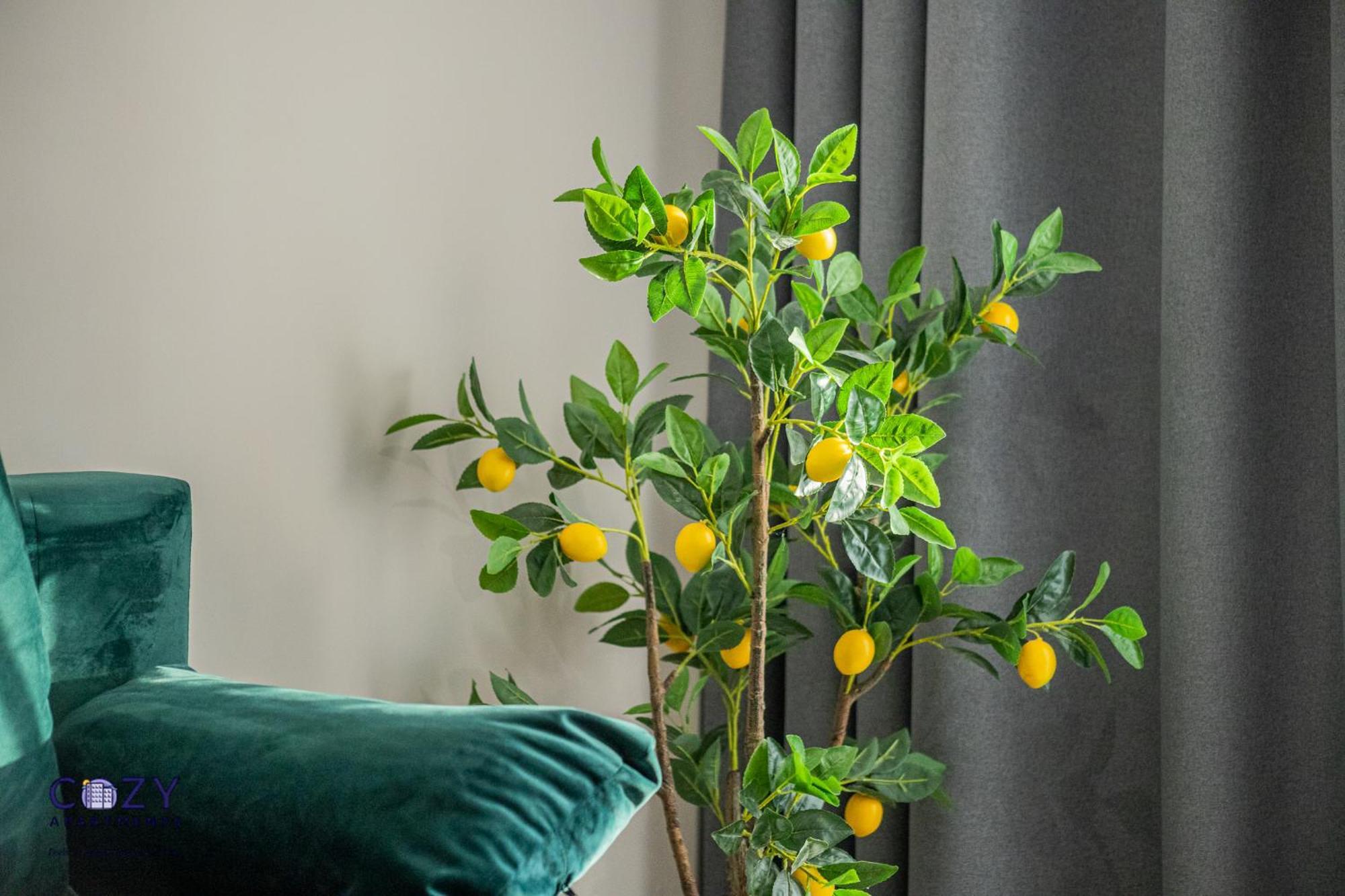 Cozy Collection Studios And Flats - Coresi Mall Braşov Buitenkant foto